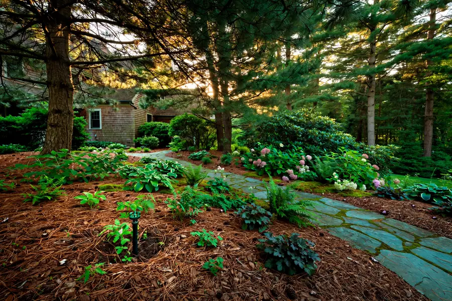 Shady landscaped backyard with sprinkler head in flower beds at Tall Trees Estates