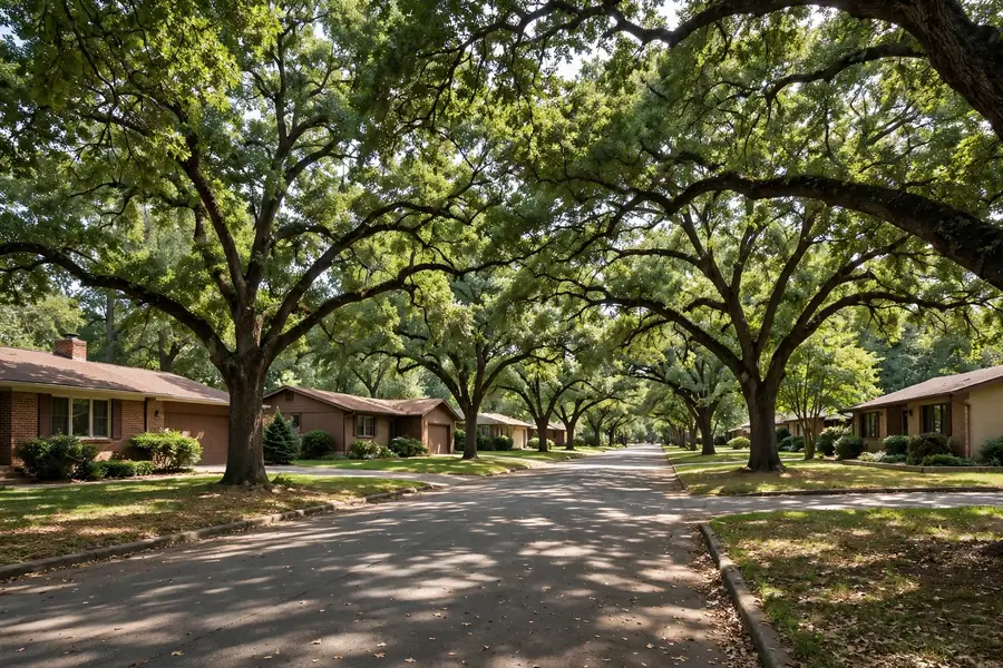 Shady street of mature oak trees and ranch homes in Windermere Columbia TN