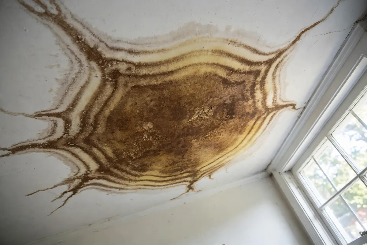 Brown water stain spreading across a white ceiling from a leak above