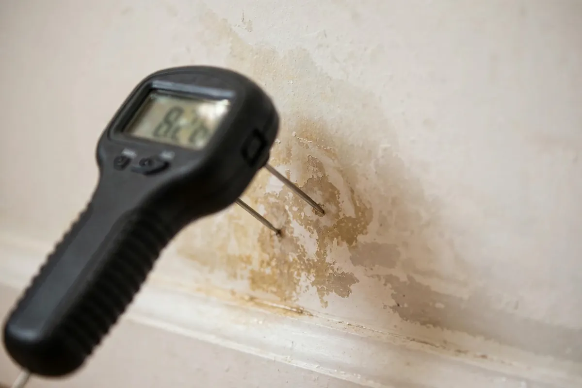 Pin moisture meter pressed against a stained interior wall to check for active moisture