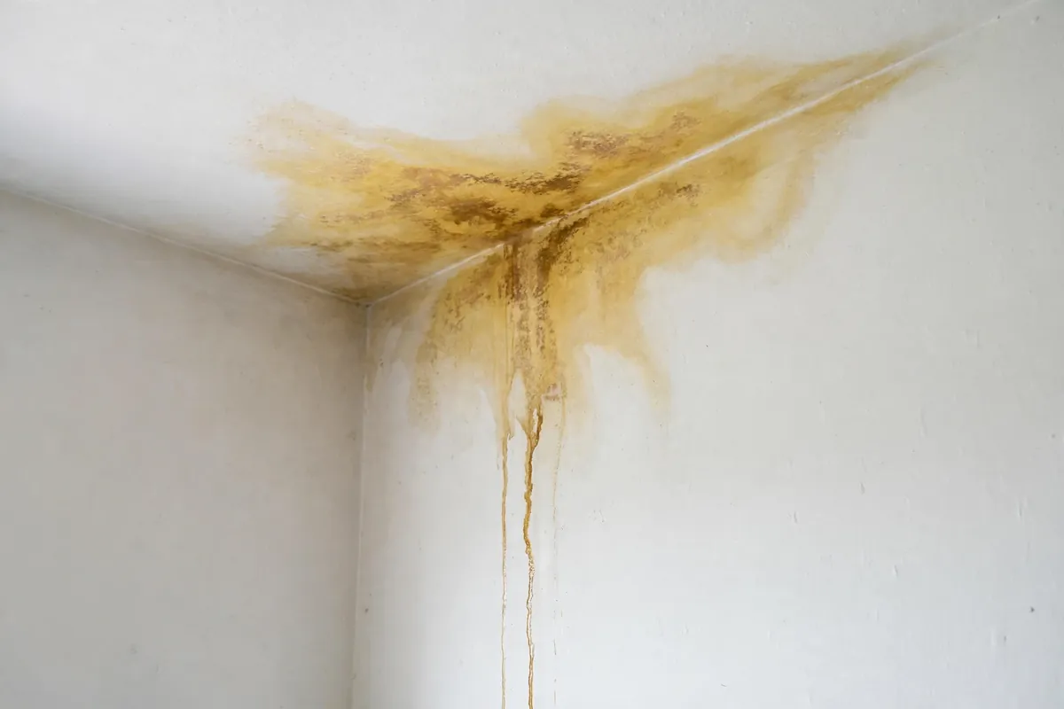 Yellow-brown water stain on a bedroom wall below the ceiling
